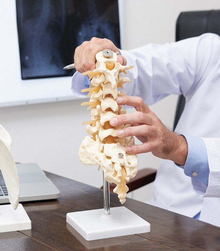 Osteoporosis & Bone Health